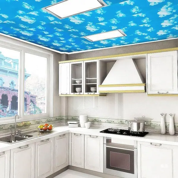 Techo Pvc Cielo