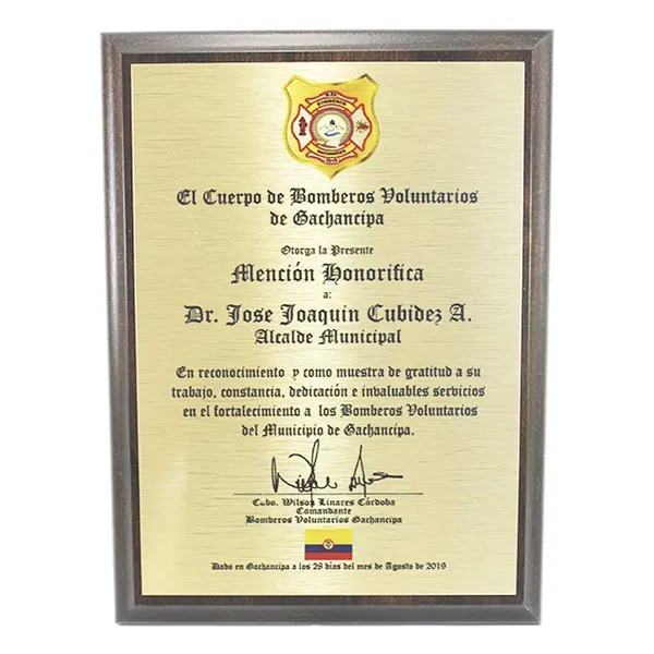 Placa de Reconocimiento en Madera Brown 20x25cm